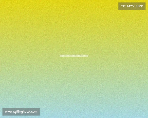 赛季回顾与展望：全面解析各队表现与未来发展趋势